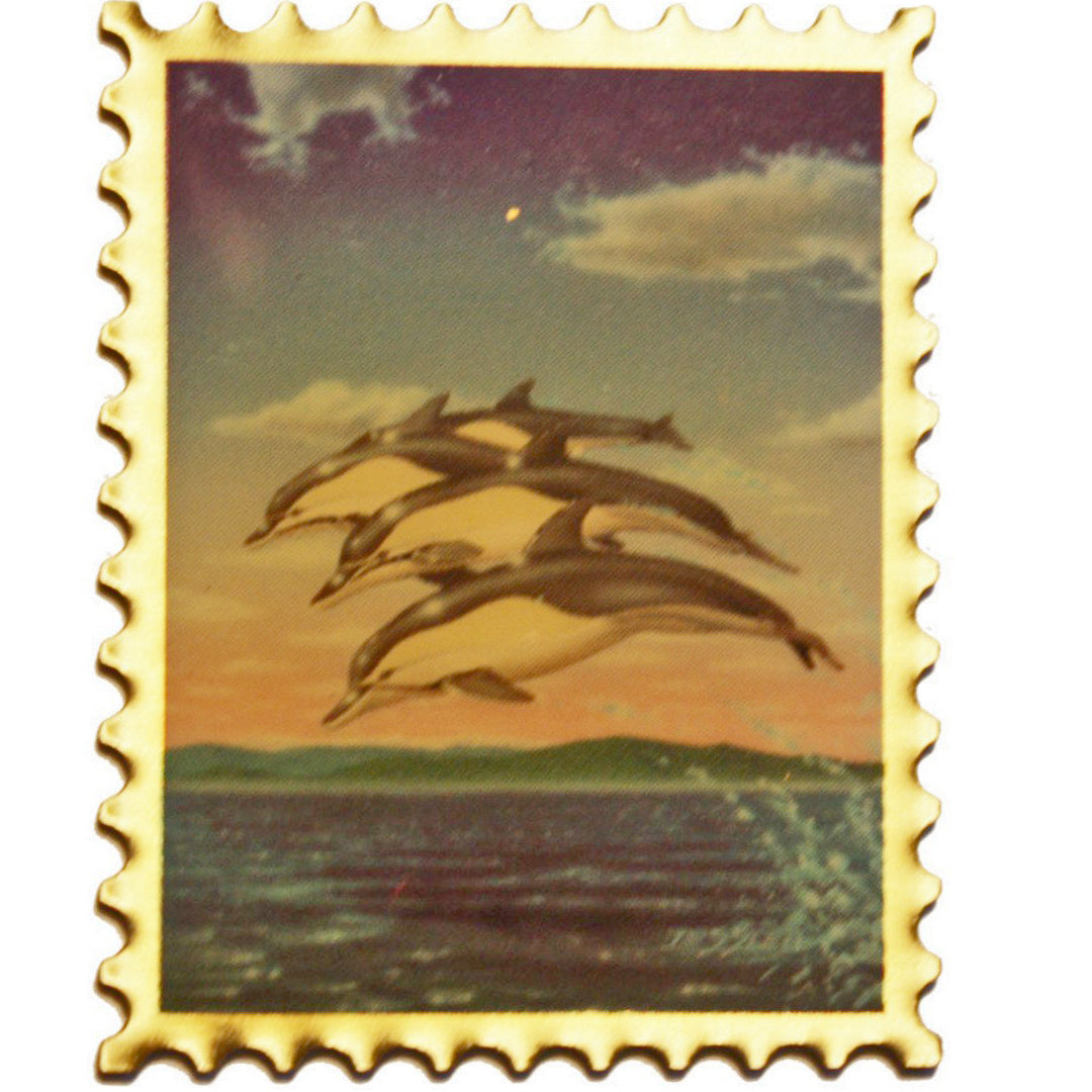 Dolphins - NWF