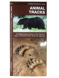 Pocket Naturalist Guides Series