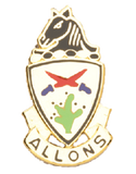 Crest - U.S. Army - Unit