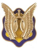 Crest - U.S. Army - Unit