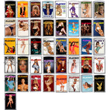 Zippo Lighter - Playboy Cover Collection