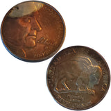 2005 D Buffalo Nickel Coin (8066)