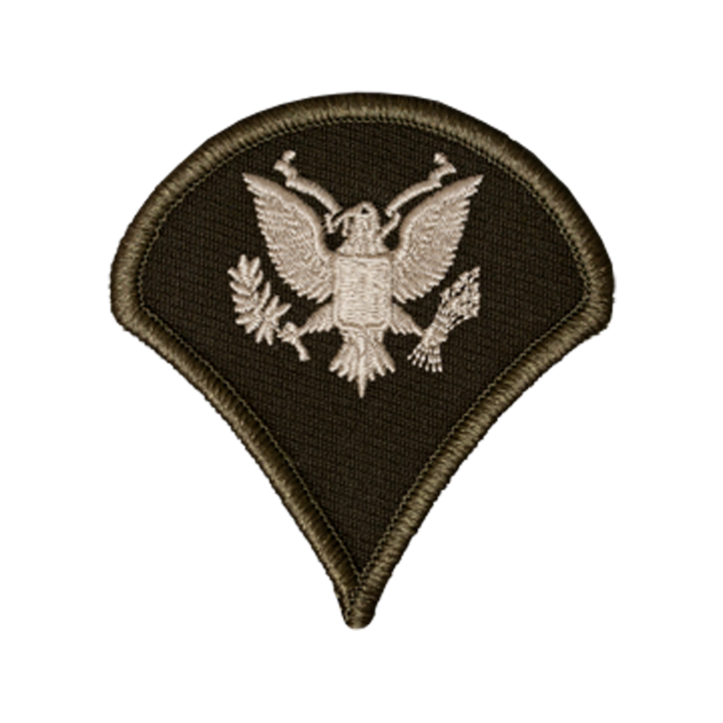 AGSU Army Chevron Dress Rank (Pair) Patches – Hahn's World of Surplus ...