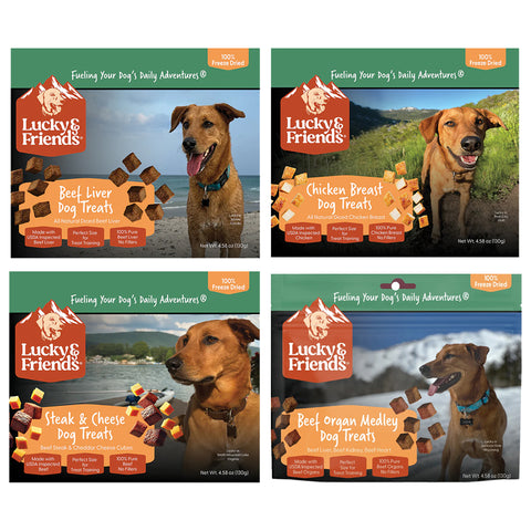 FOUNDATION Food Dog Treats