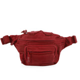 Mobility Waist Pack