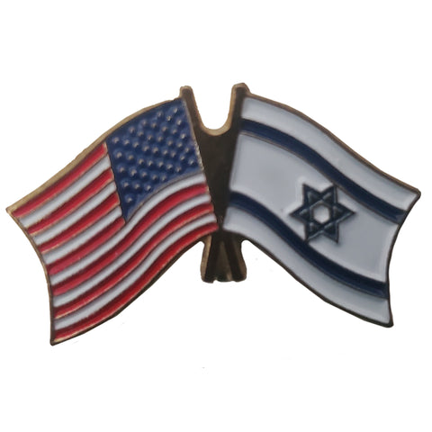 USA Israel Flag Lapel Pin