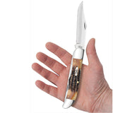 Knife - Case XX 6.5 Bonestag Folding Hunter Stainless Pocket (03574)