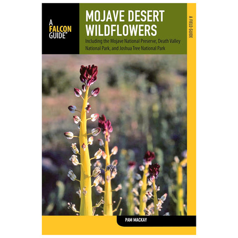 Mojave Desert Widlflowers