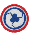 Patch - U.S. Army Sew On - Full Color