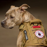 OneTigris Fire Watcher Tactical Molle Dog Harness  (TG-GBX03)