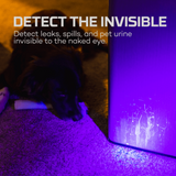Dog lying on a carpet with a device emitting a purple light, highlighting invisible stains.