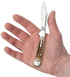 Knife - Case Amber Bone Peach Seed Jig Mini CopperLock (00133)