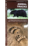 Pocket Naturalist Guides Series