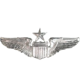 Air Force Badge No Shine Full Size