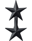 Rank - U.S. Army - Officer Subdued Metal Insignias