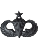 Badge - U.S. Army - Black Metal Insignias