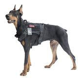 OneTigris Fire Watcher Tactical Molle Dog Harness  (TG-GBX03)